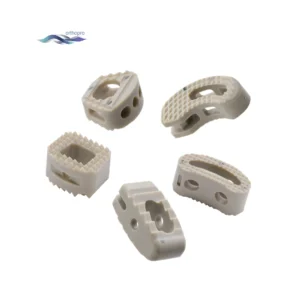 T-PAL PEEK Cage curved spinal implant for TLIF surgery