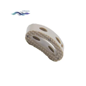 TLIF PEEK Cage with bullet nose for transforaminal lumbar interbody fusion