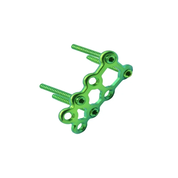 Titanium oblique locking plate screw holes detail