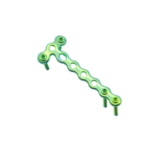 Titanium condylar locking plate screw holes detail