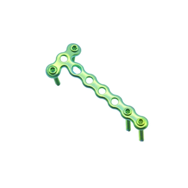 Titanium condylar locking plate screw holes detail